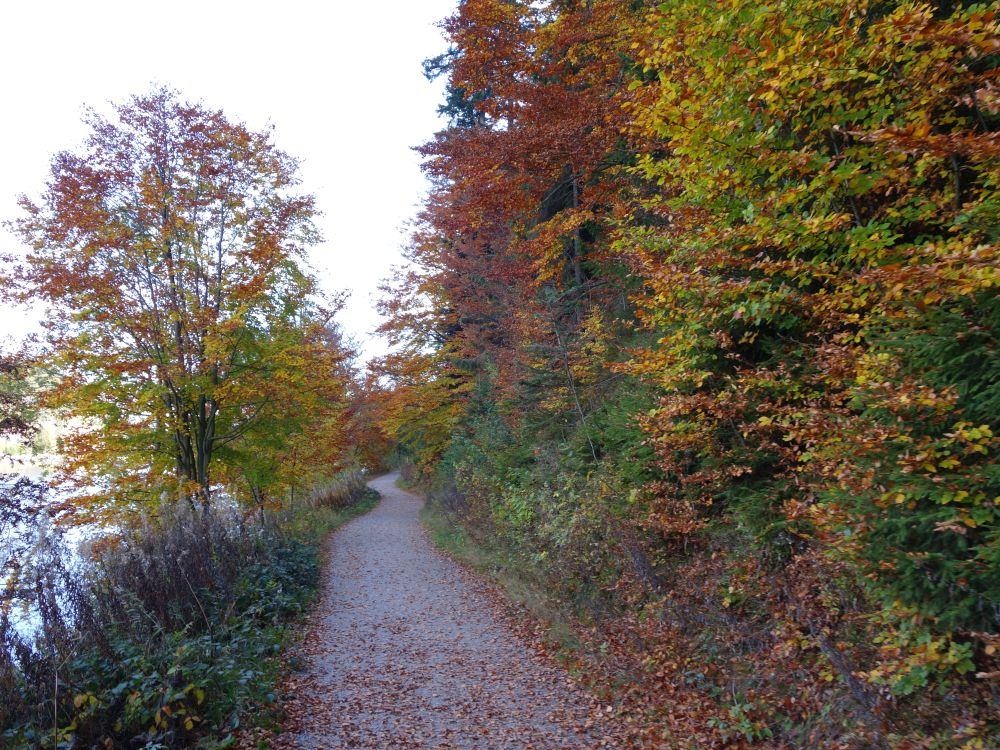 Jägergutweg