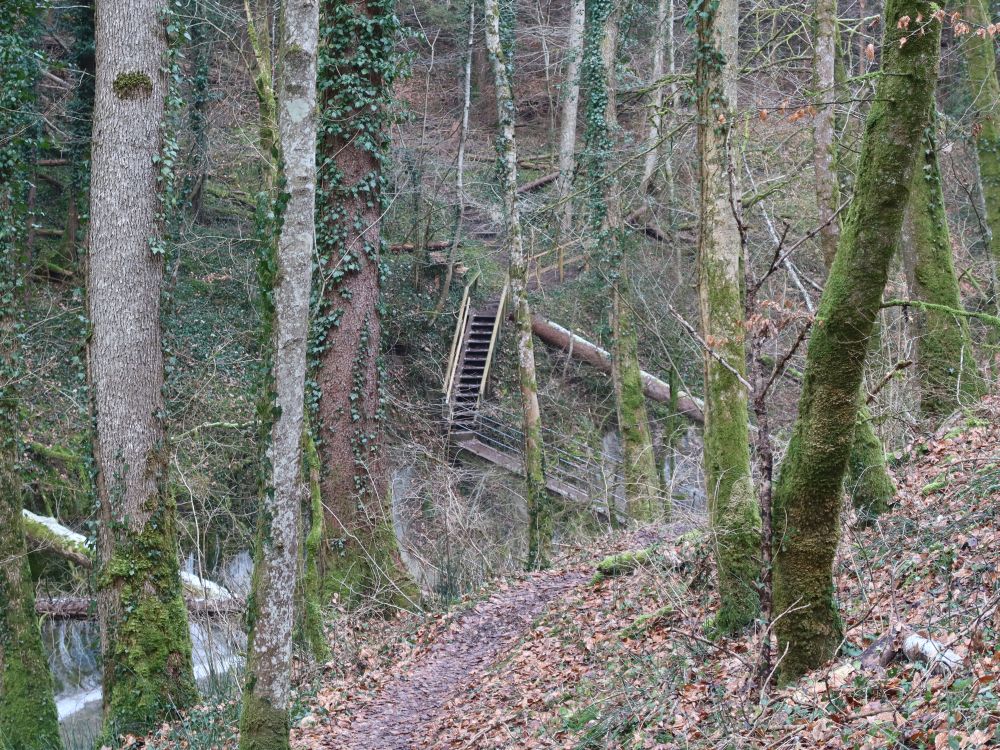 Steg und Treppe im Schmalegger Tobel