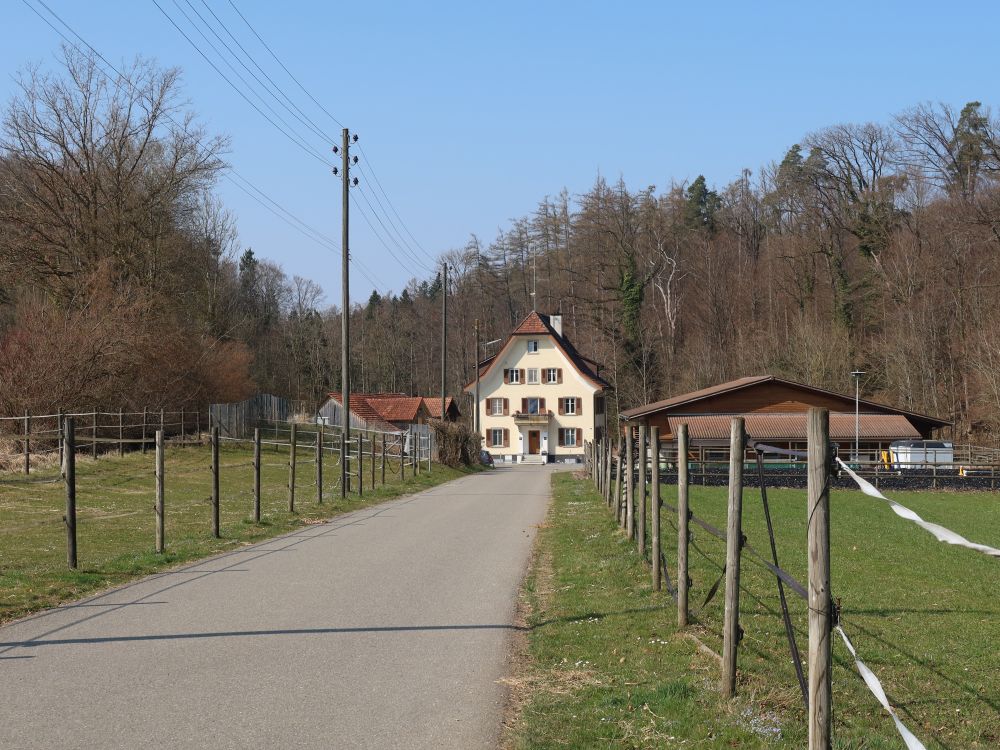 Martinsmühle