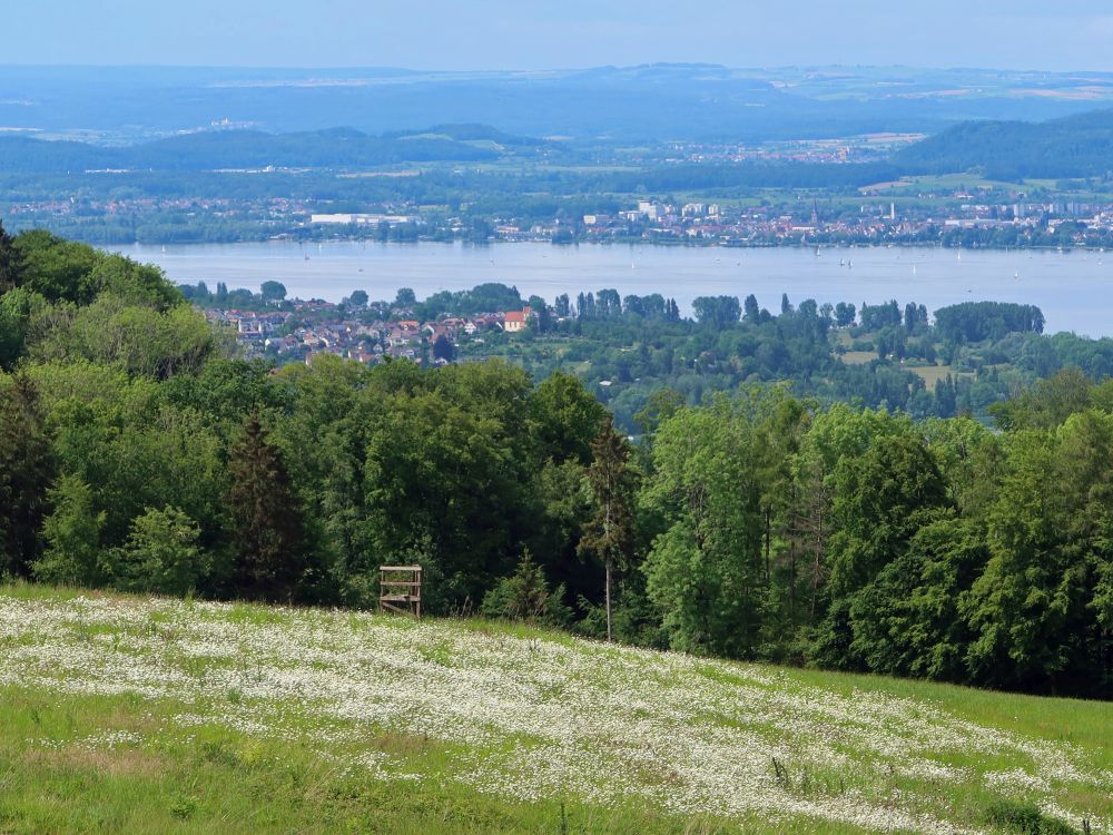 Horn, Zellersee und Radolfzell