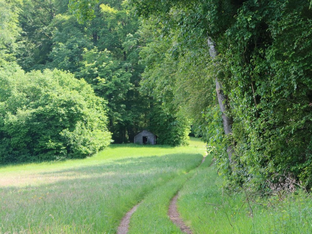 Hütte bei Wolfebrugge