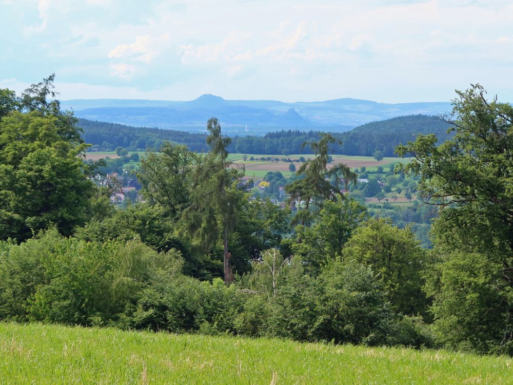 Hohenhewen und Hohenkrähen