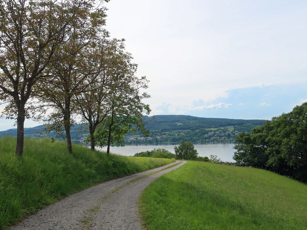 Schienerberg überm Untersee