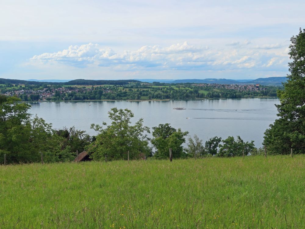 Blick auf den Untersee