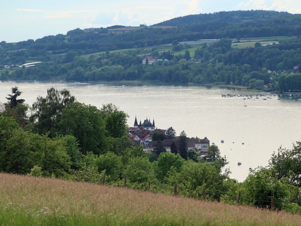 Steckborn und Schloss Marbach (anderes Ufer)