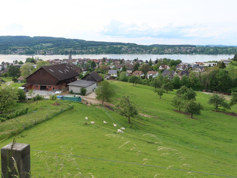 Bauernhof über Steckborn