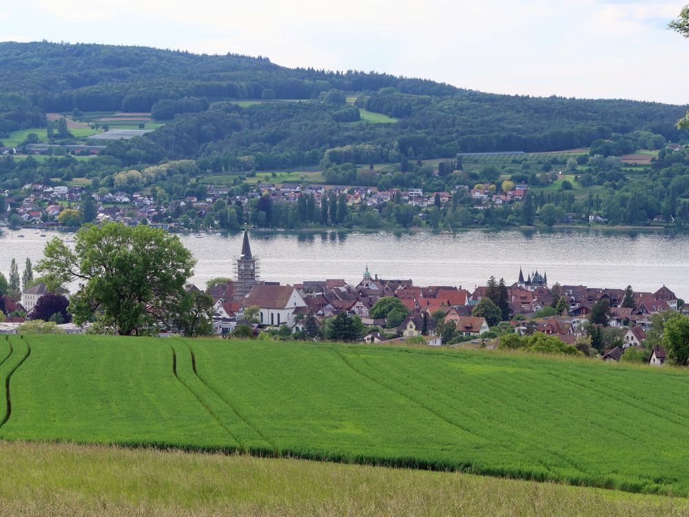 Steckborn und Hemmenhofen