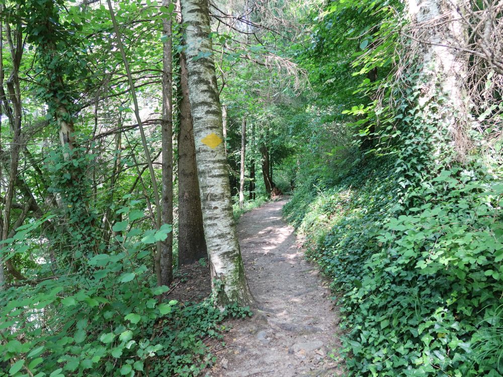 Dunkelgässliweg
