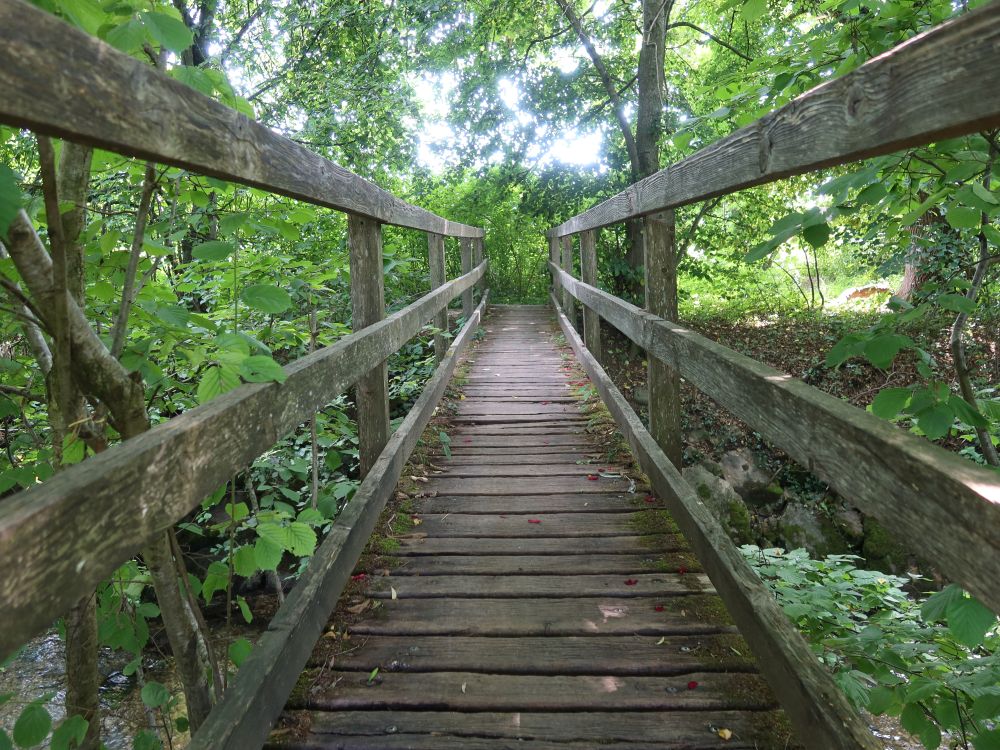 Holzsteg