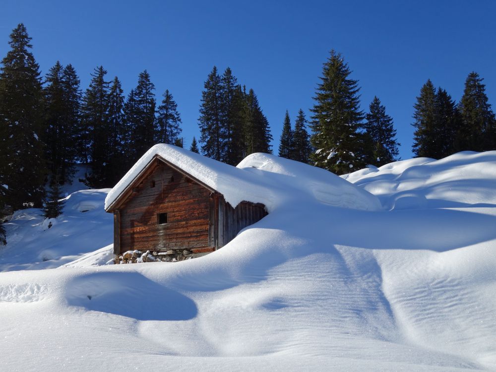 Hütte am Winterwanderweg