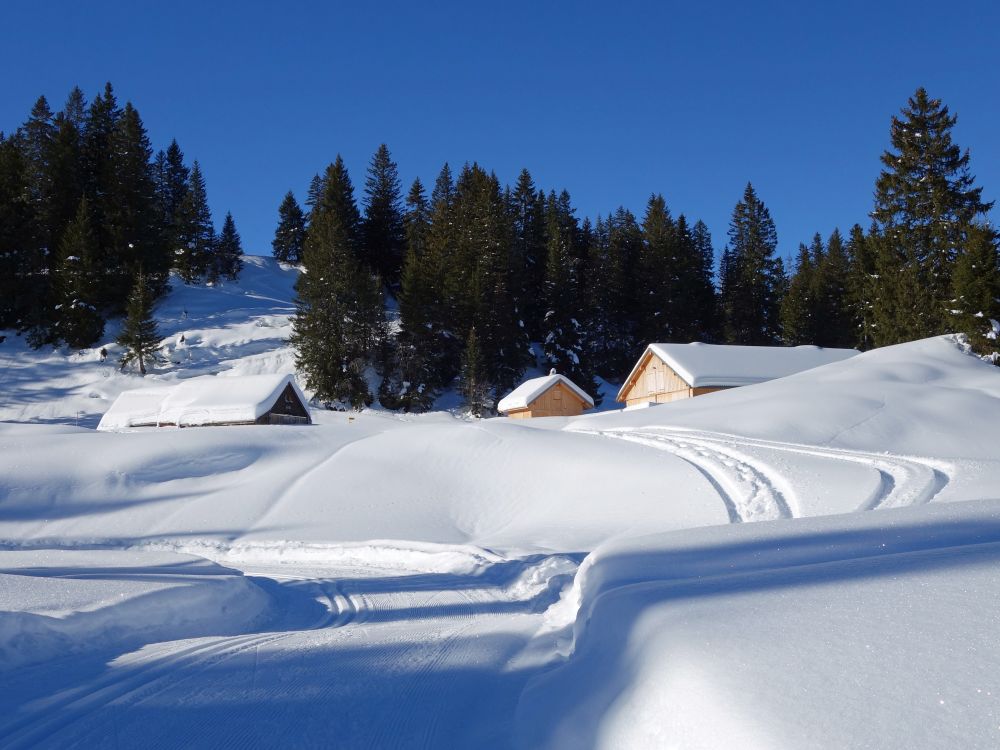 Winterwanderweg und Hütten
