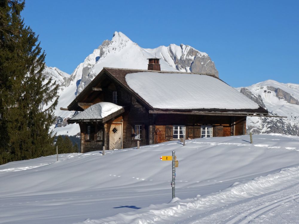 SAC-Hütte Sektion Uzwil mit Wildhauser Schafberg