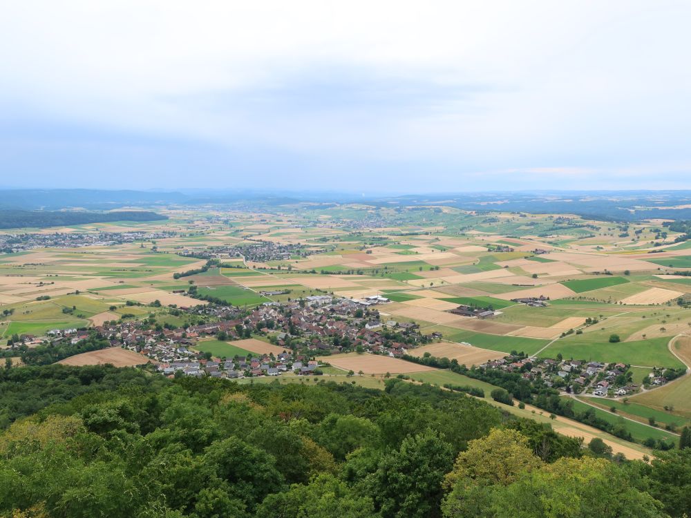 Aussicht vom Randenturm (Siblingen)