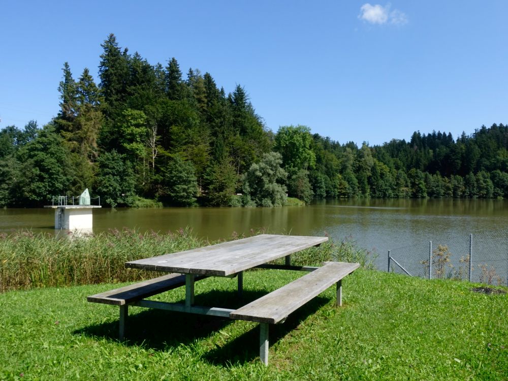 Picknickplatz am Teufenbachweiher