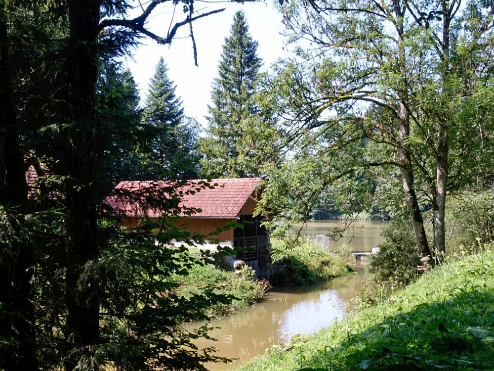 Hütte am Teufenbach