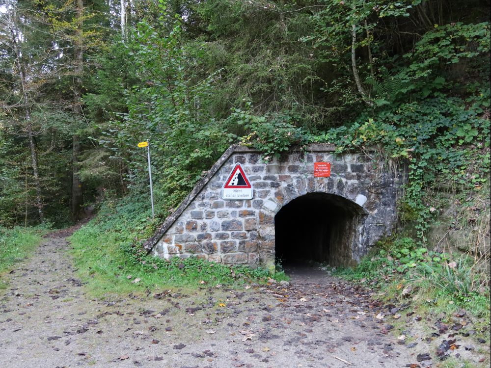 Tunnelöffnung