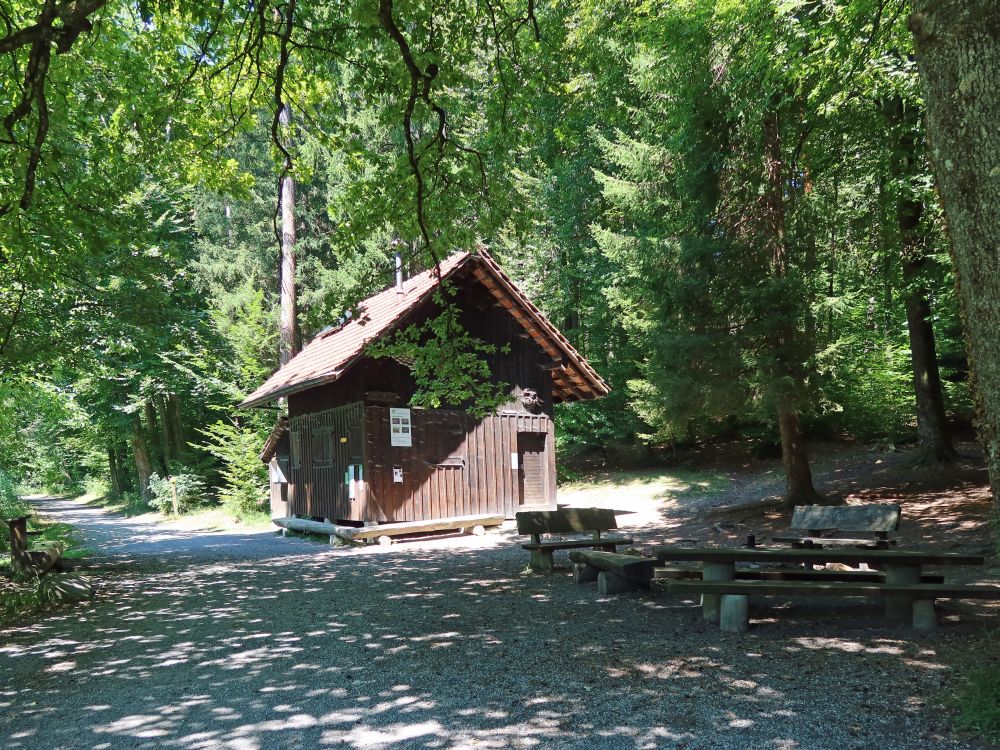 Hütte am Waldweiher