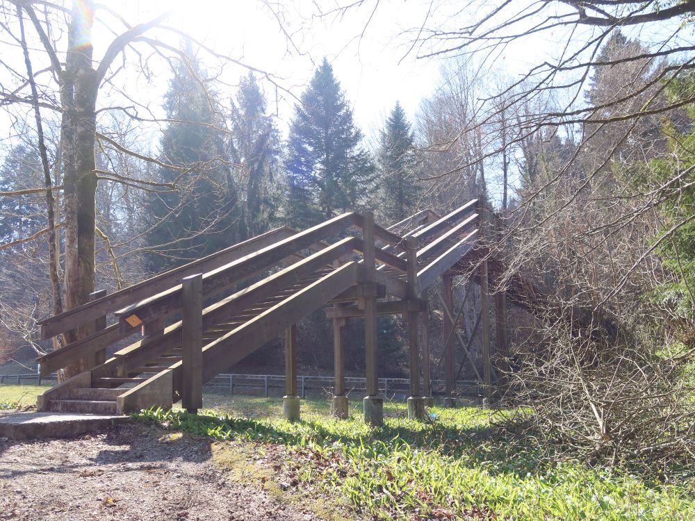Holztreppe über dieSihltalstrasse