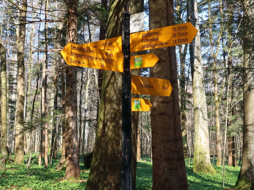 Wanderwegweiser am Tannboden