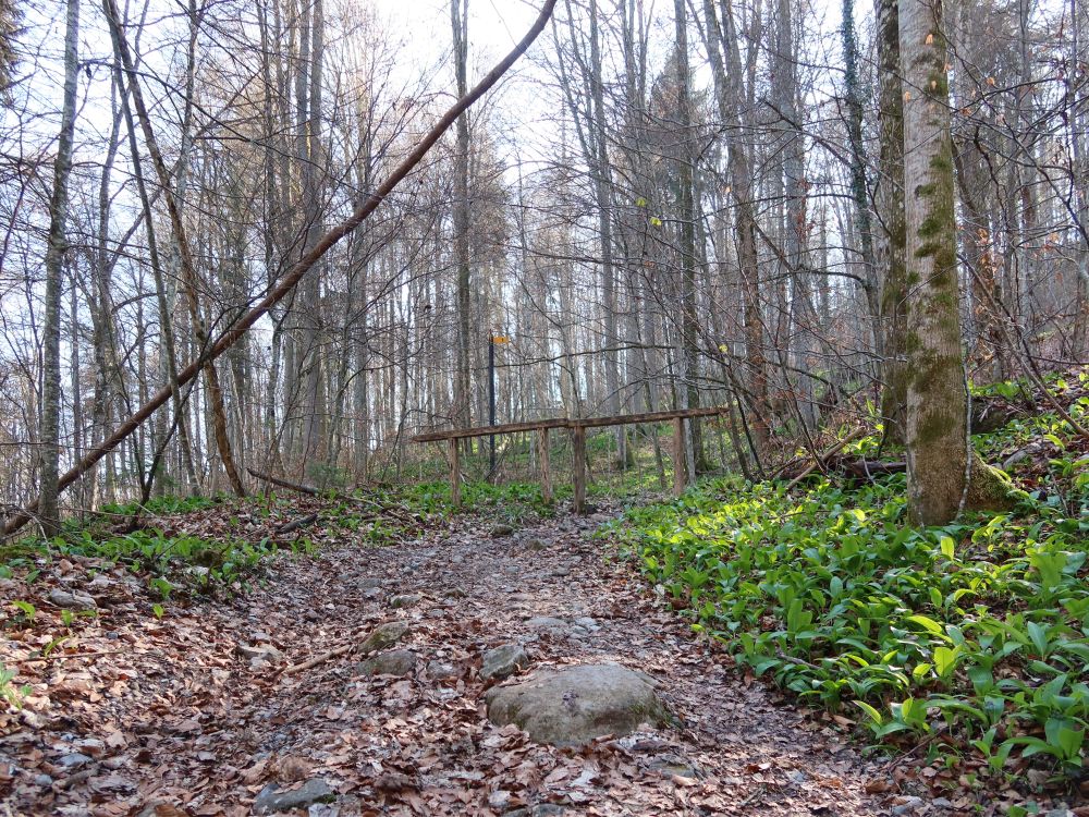 Querung Bachtelenstrasse