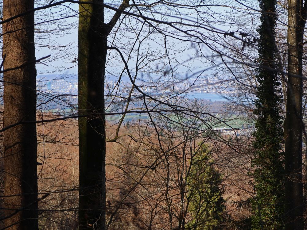 Zürich zwischen Baumlücken