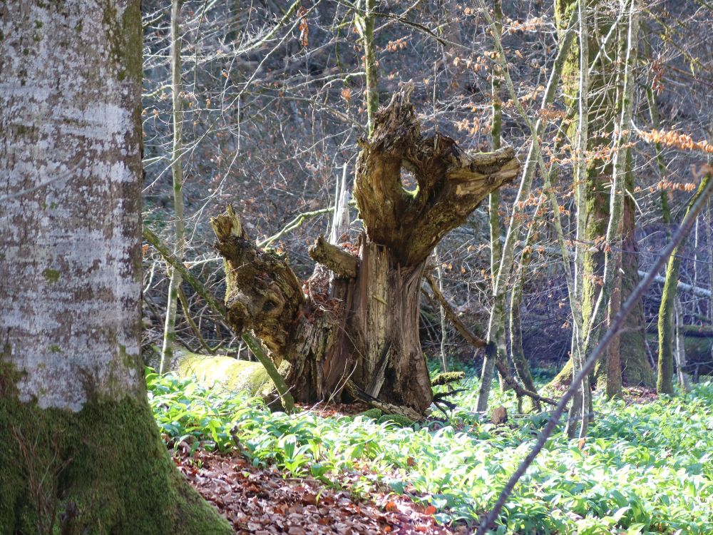 Figur aus Baumstumpf