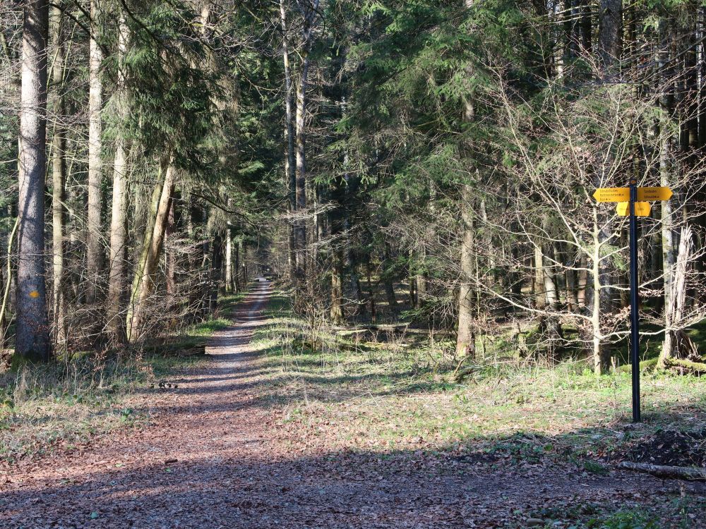Wanderwegweiser am Spinnerweg