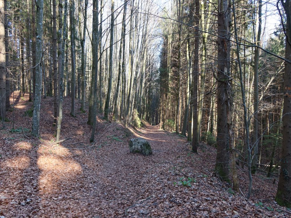 Stein auf dem Spinnerweg