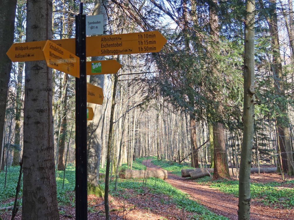 Wanderwegweiser am Tannboden