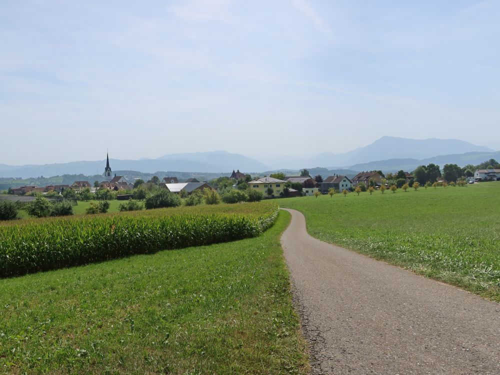 Blick Richtung Sins mit Wildspitz und Rigi im Dunst