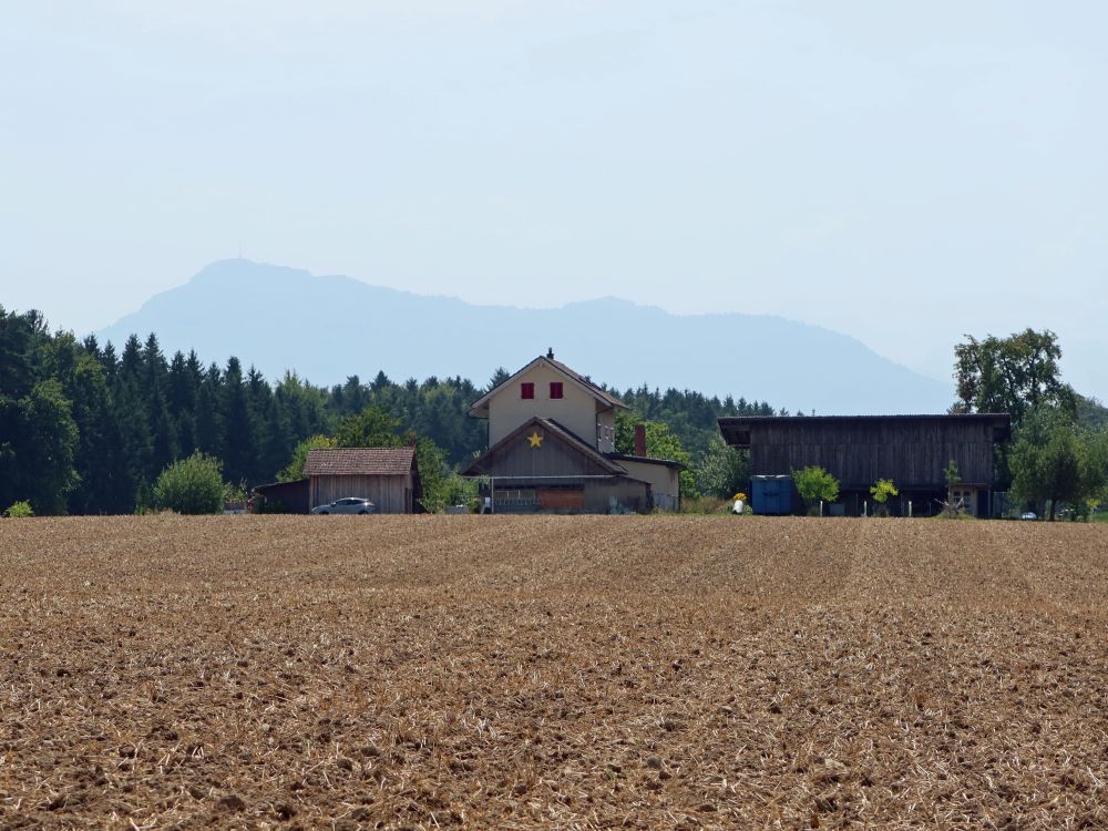 Waldheim und Rigi im Dunst