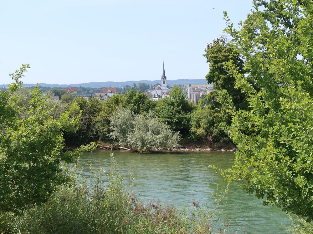 Blick über die Reuss Richtung Sins