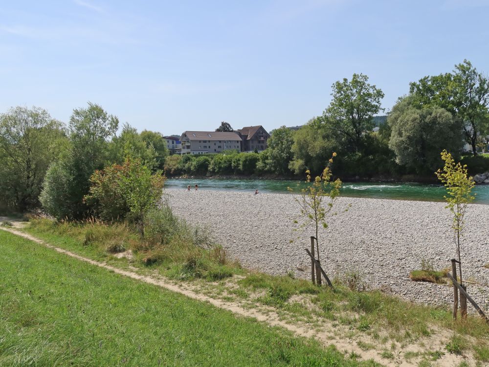 Kiesbank an der Reuss