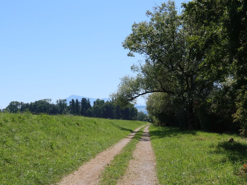 Wirtschaftsweg und Rigi im Dunst