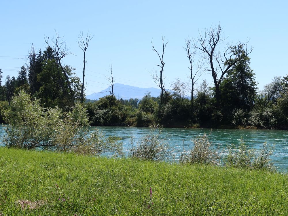 Reuss und Rigi im Dunst