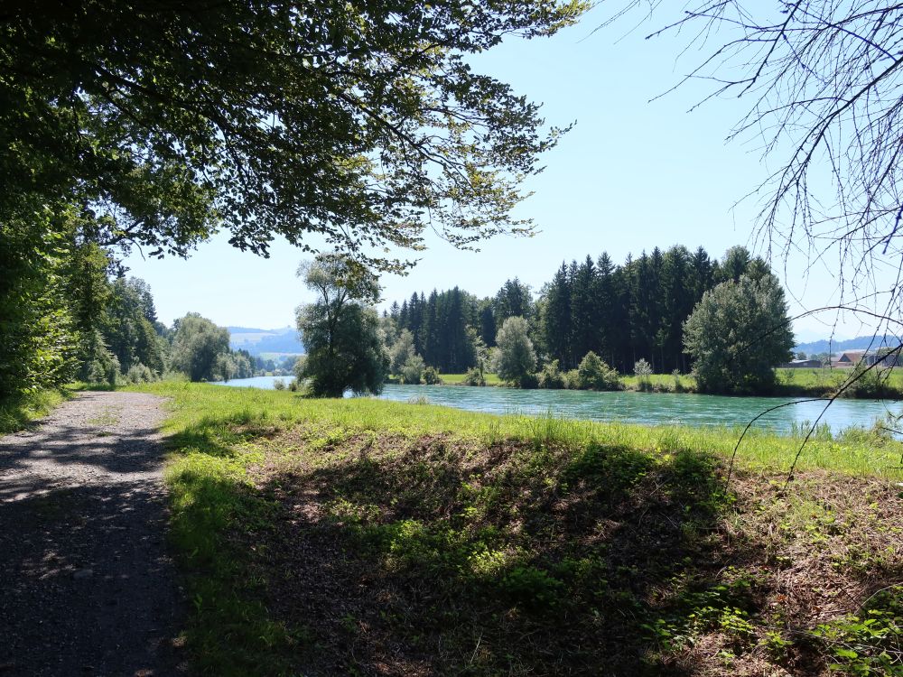 Weg am Reussufer