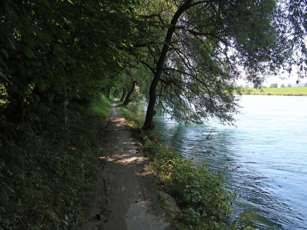 Pfad am Reussufer