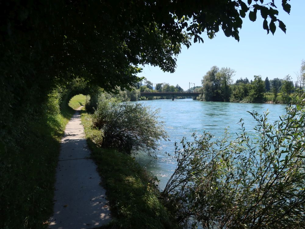 Pfad am Reussufer