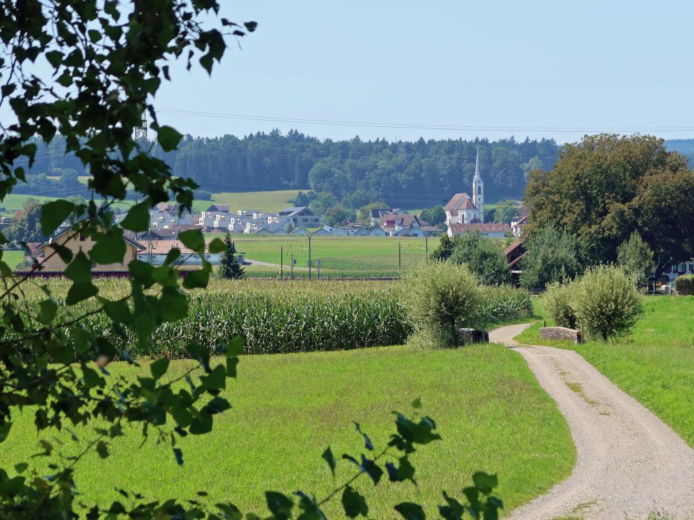 Blick Richtung Oberrüti