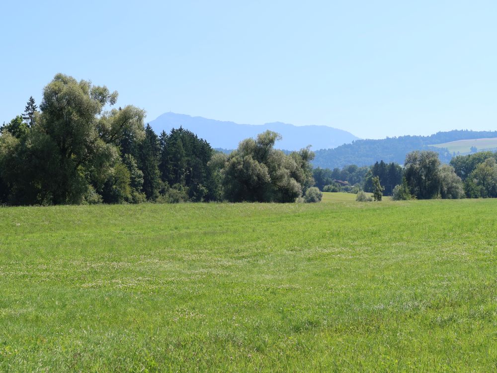 Rigi im Dunst