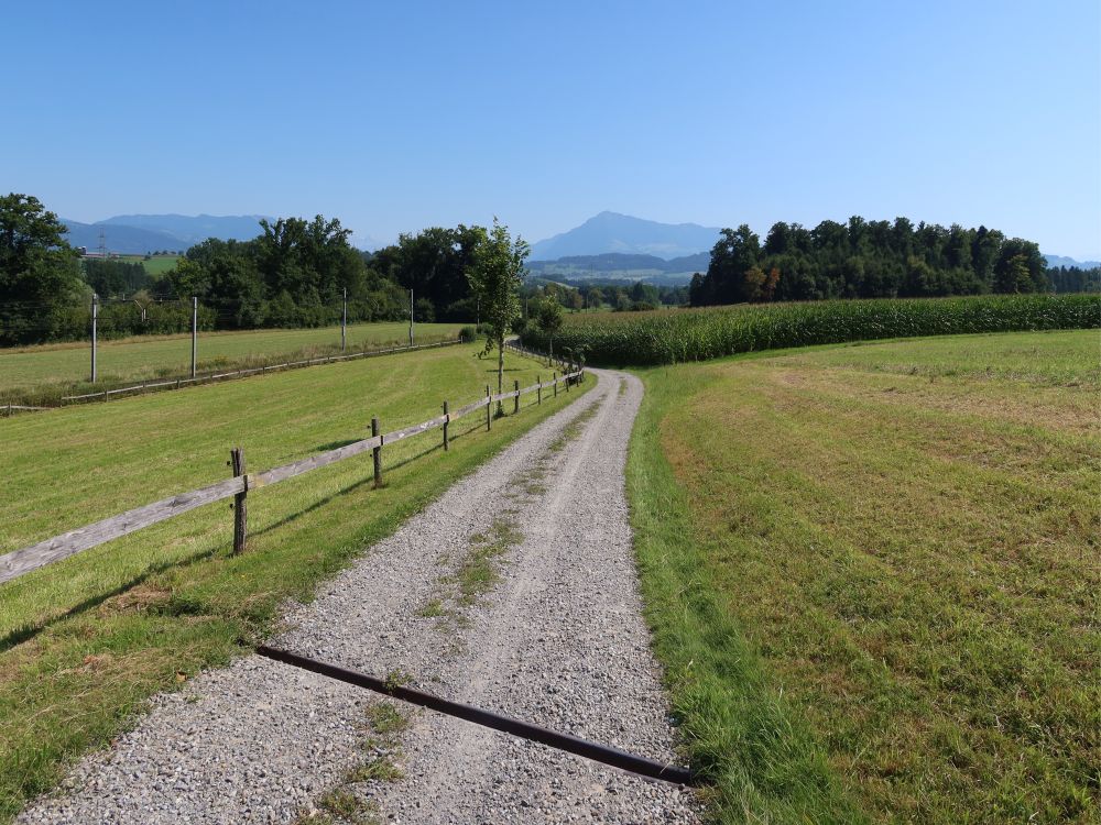 Blick Richtung Rigi
