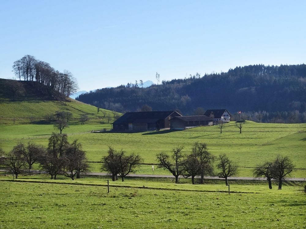 Bauernhof Guggenbüel