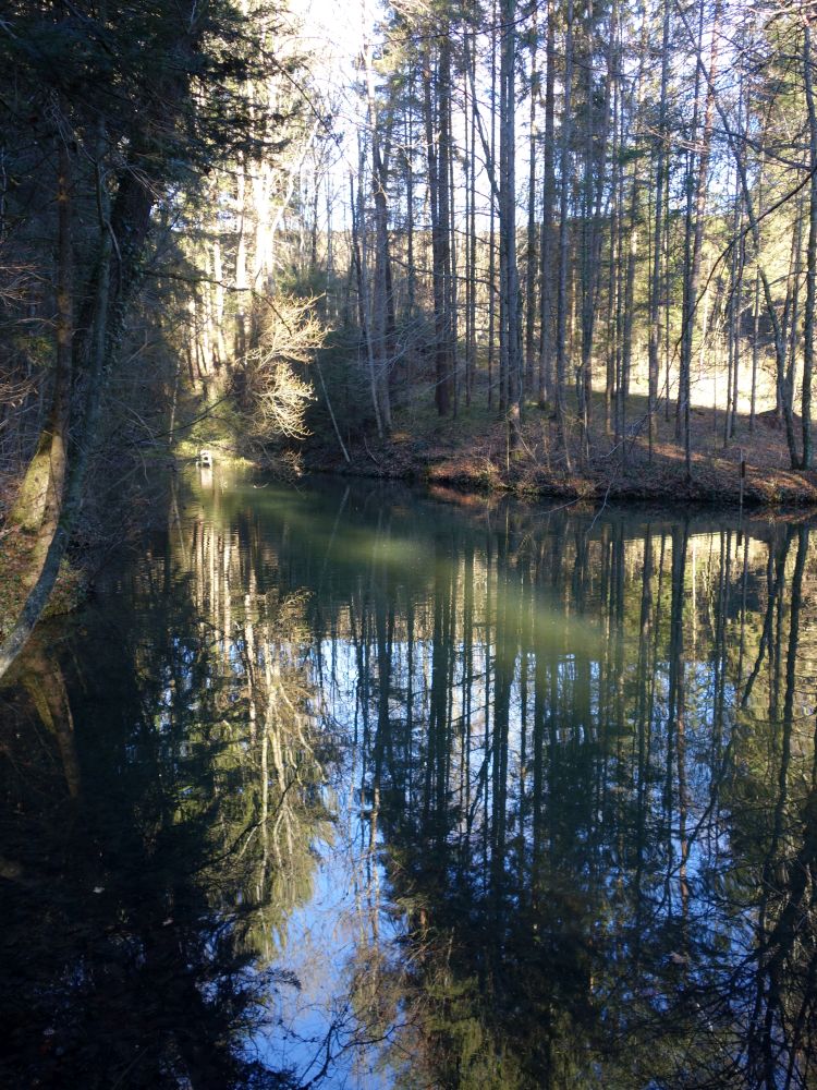 Teich im Unders Junkholz