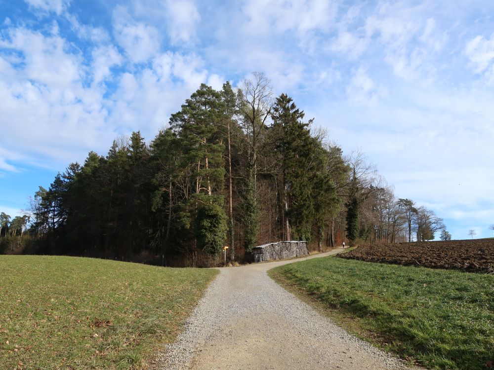 Weg bei Obholz