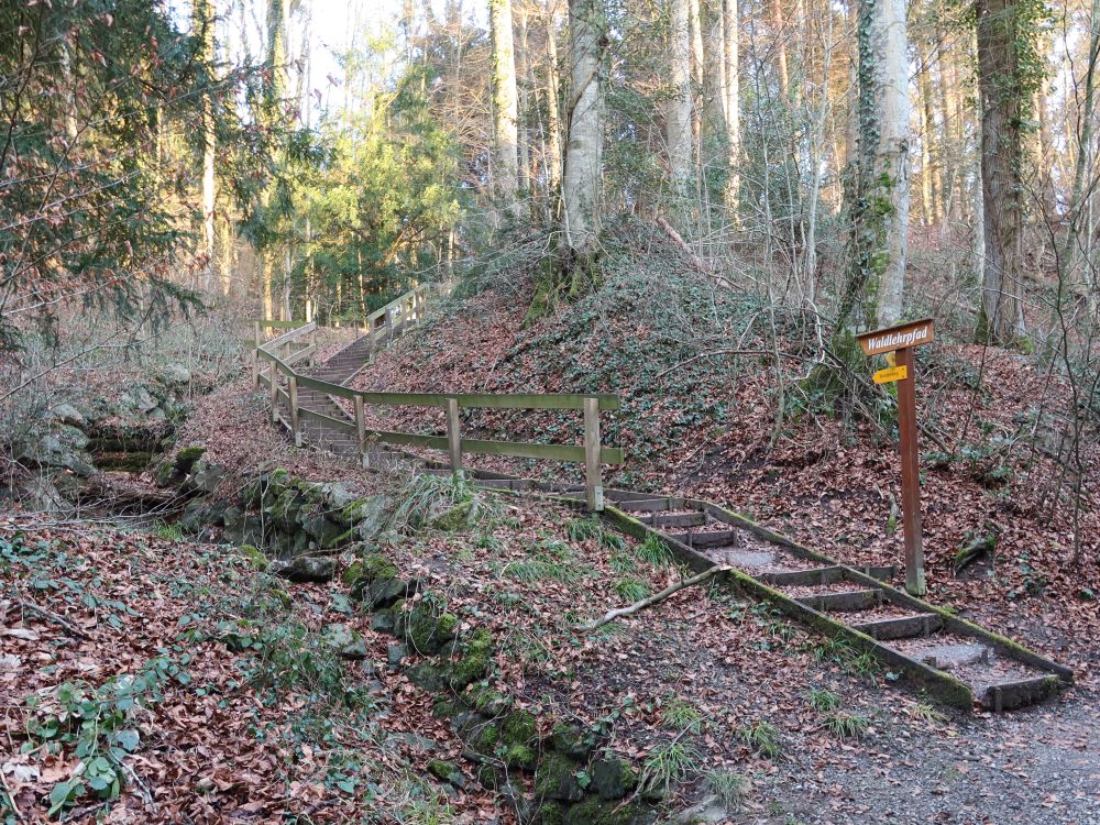 Abzweit zum Rüti Tobel