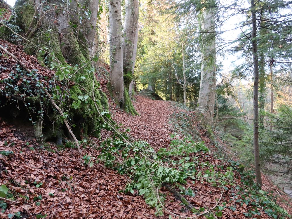 Seiten Obholzweg