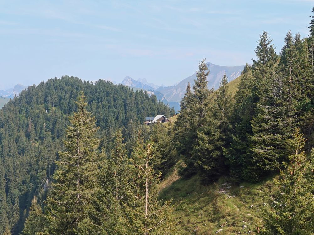 Blick Richtung Rinderalp