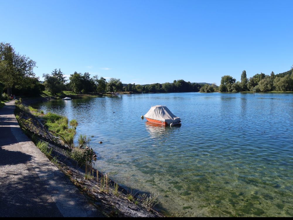 Motorboot auf dem Rhein