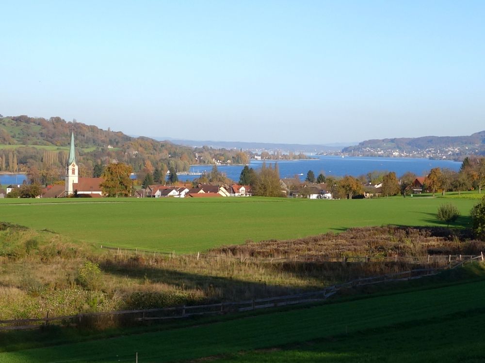 Eschenz und Rhein