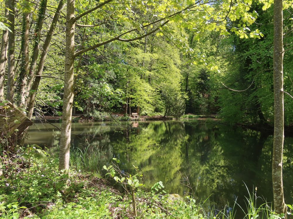 Sägeweiher